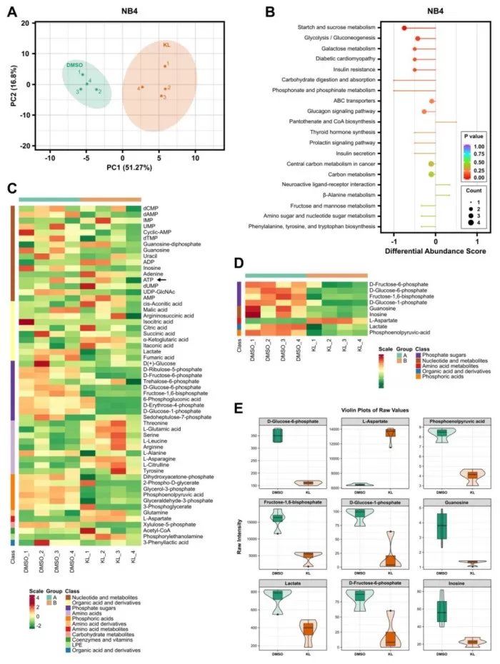 Targeted metabolomics of NB4 treated with KL-11743